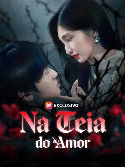 Capa da minisserie Na Teia do Amor