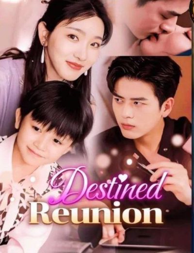 Capa da minisserie Reunião do Destino