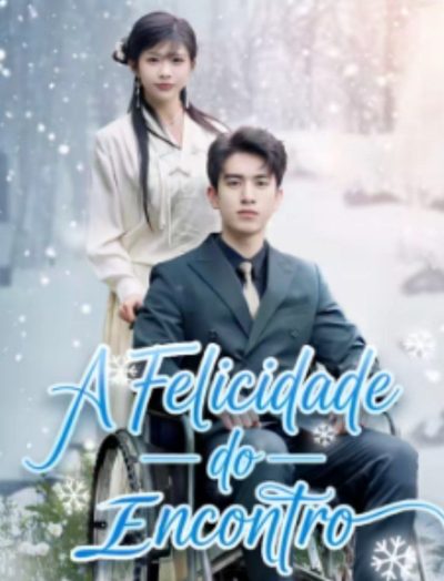 Capa da minisserie A Felicidade do Encontro