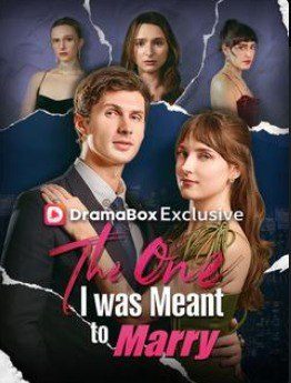 Capa da minisserie The One I Was Meant To Marry