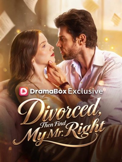 Capa da minisserie Divorciada, Depois Encontrar Meu Sr. Certo/