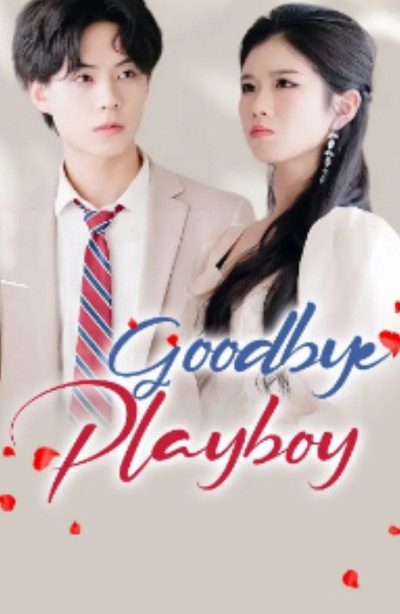 Capa da minisserie Adeus Playboy