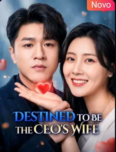 Capa da minisserie O Destino Me Deu Você