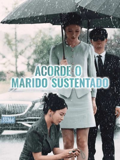 Capa da minisserie Acorde o Marido Sustentado