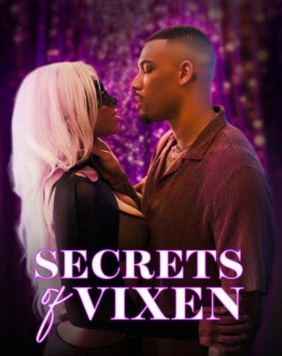 Capa da minisserie Secrets of Vixen