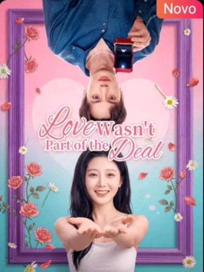 Capa da minisserie Amor Não Estava no Acordo