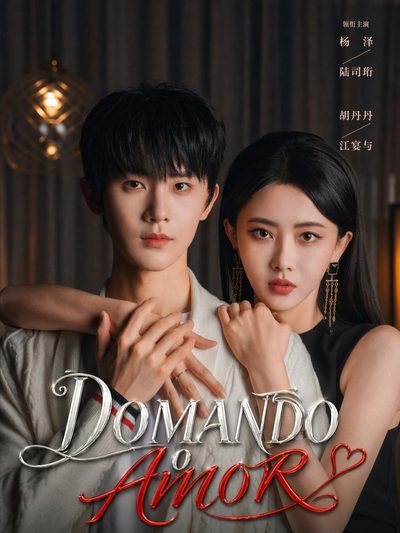 Capa da minisserie Domando o Amor