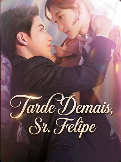 Capa da minisserie Tarde Demais, Sr. Felipe