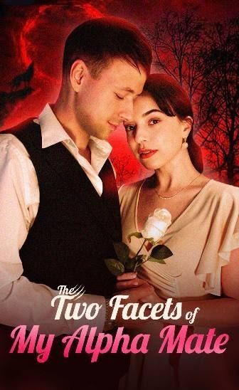 Capa da minisserie As Duas Facetas do Meu Companheiro
